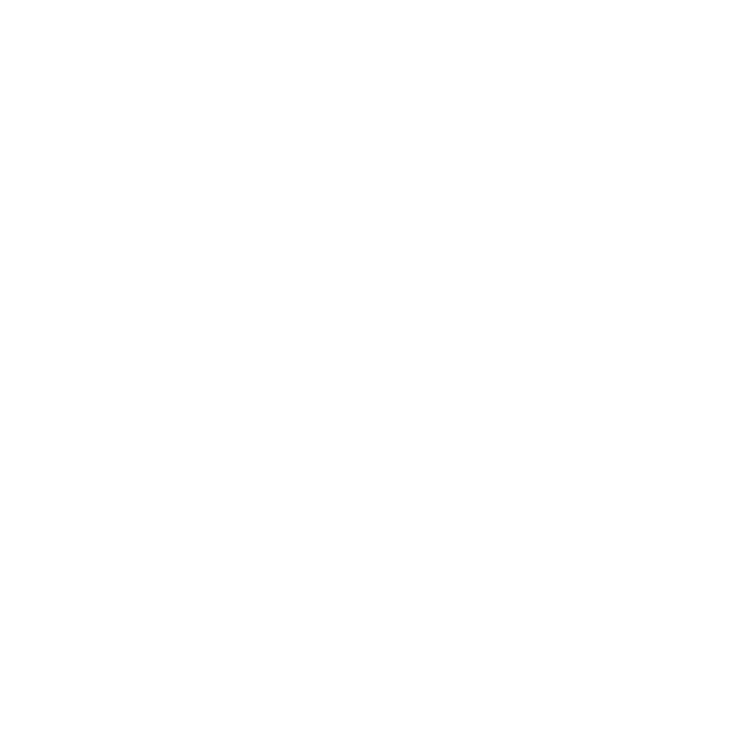 Ayeri white Logo-02